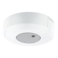 Steinel 057428 - Sensor de luz DUAL-R DALI2 redondeado blanco