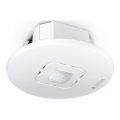 Steinel 067151 - Detector de presencia empotrable IR MICRO OFFICE DALI2