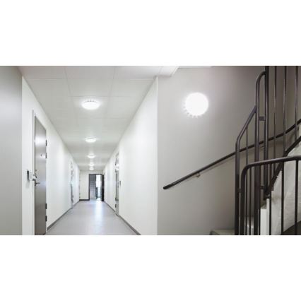 Steinel 067540 - Plafón LED regulable con sensor RS PRO S20 SC 15,7W/230V 4000K