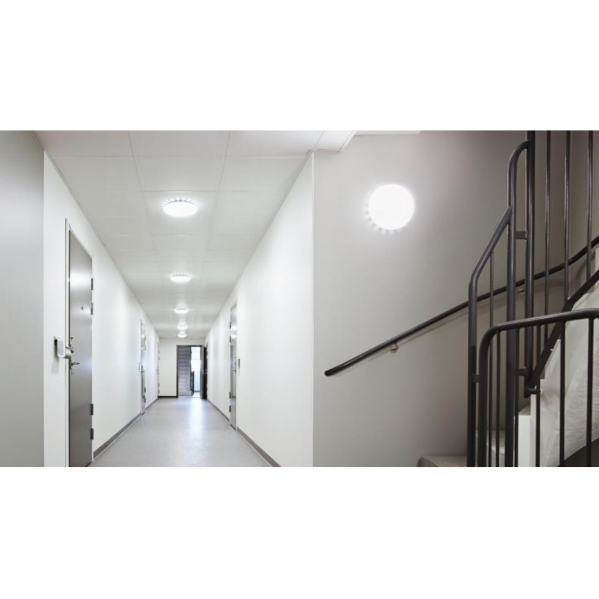 Steinel 067564 - Plafón LED regulable con sensor RS PRO S20 SC LED/15,7W/230V 3000K