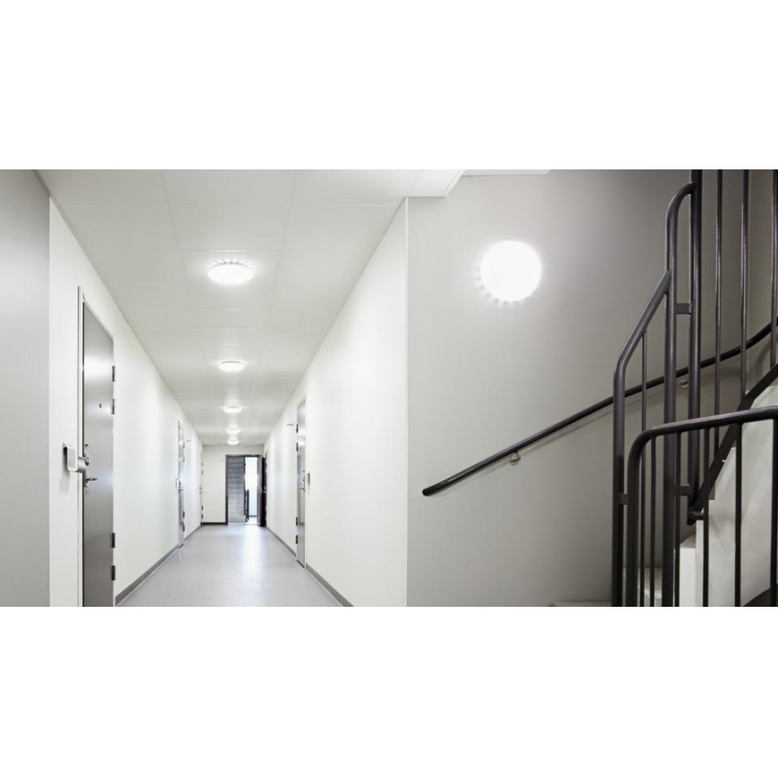 Steinel 068042 - Plafón LED con sensor RS PRO S30 SC 25,8W/230V 4000K