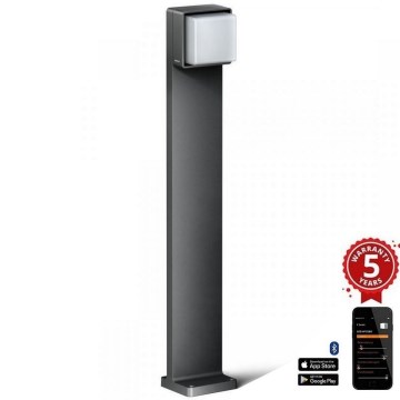 Steinel 078676 - Lámpara LED de exterior regulable GL 85 C 900 LED/9W/230V IP44