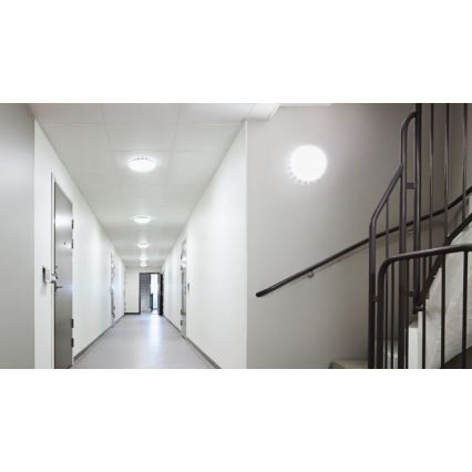 Steinel 081928 - JUEGO 5x Plafón LED con sensor RS PRO S10 SC LED/9,1W/230V 4000K