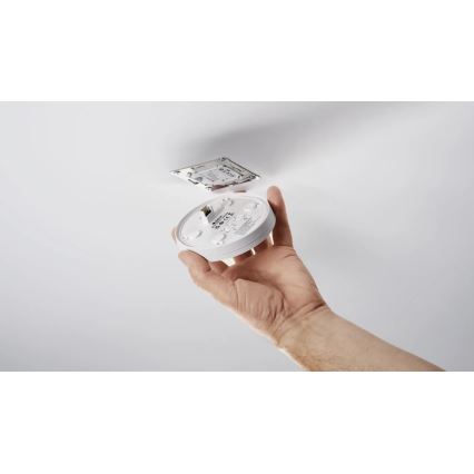 Steinel 087821 - Sensor de movimiento para exterior con un sensor de presencia PD-24 ECO COM1 360° IP54 negro