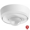 Steinel 088019 - Sensor de movimiento para exterior con un sensor de presencia PD-24 ECO KNX 360° IP54 blanco