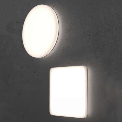 Steinel 067809 - Plafón LED regulable con sensor RS PRO R10 BASIC SC LED/8,5W/230V 4000K IP40