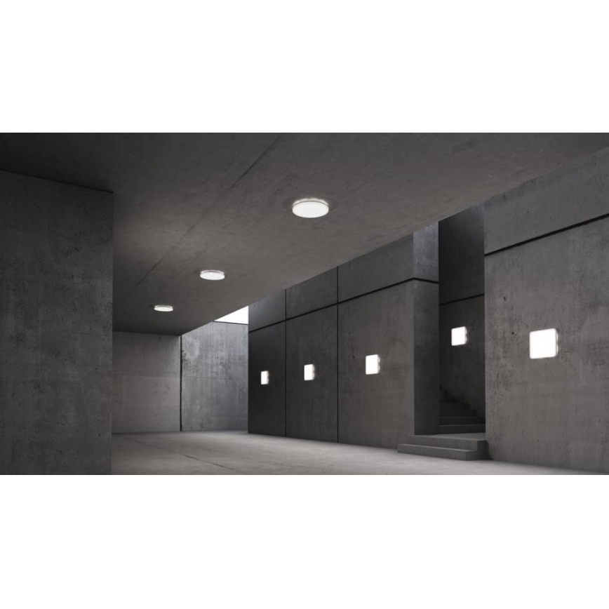 Steinel 067717 - Plafón LED regulable con sensor RS PRO R10 PLUS SC 8,5W/230V IP40 3000K