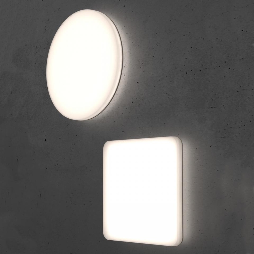 Steinel 067755 - Plafón LED Regulable con sensor RS PRO R20 PLUS 15.86W/230V IP40 3000K