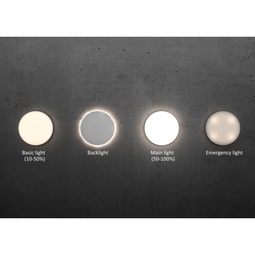 Steinel 067755 - Plafón LED Regulable con sensor RS PRO R20 PLUS 15.86W/230V IP40 3000K