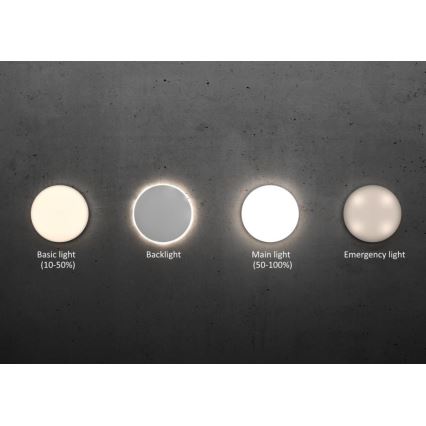 Steinel 067724 - Plafón LED regulable con sensor RS PRO R20 PLUS 15,86W/230V IP40 4000K