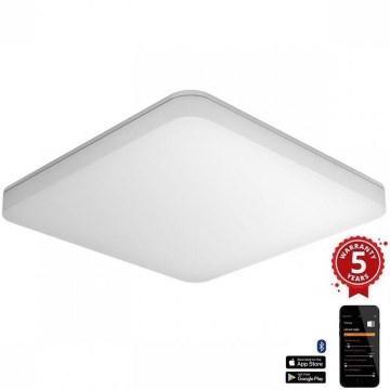 Steinel - Plafón LED regulable con sensor RSPROR20BASICQ 15,3W/230V IP40 4000K