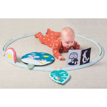 Taf Toys - Aro de actividades Todo a mi alrededor d. 90 cm koala