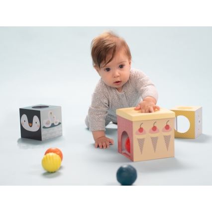 Taf Toys - Juego interactivo Polo Norte