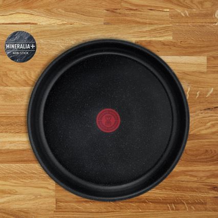 Tefal - Batería de cocina de 13 piezas INGENIO PERFECT COOK