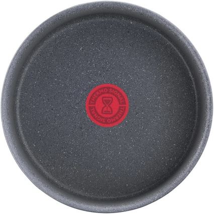 Tefal - Cazo INGENIO NATURAL FORCE 20 cm
