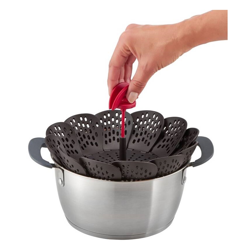 Tefal - Cesta de vapor INGENIO negra/roja