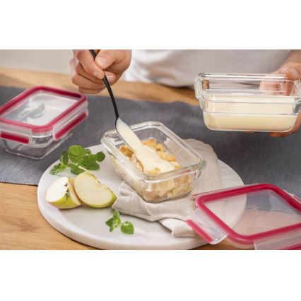 Tefal - Envase para alimentos 0,45 l MSEAL GLASS rojo/vidrio