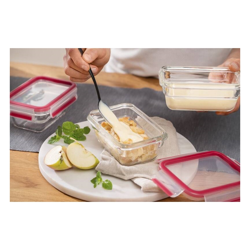 Tefal - Envase para alimentos 0,45 l MSEAL GLASS rojo/vidrio
