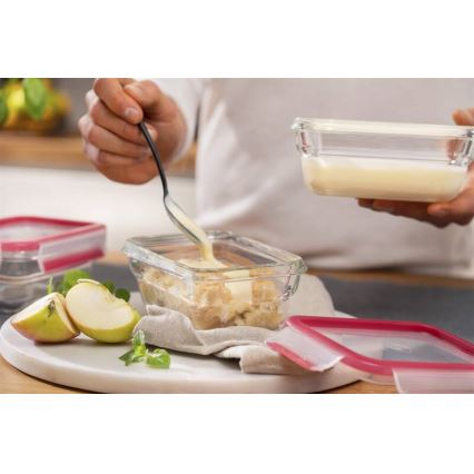 Tefal - Envase para alimentos 0,45 l MSEAL GLASS rojo/vidrio