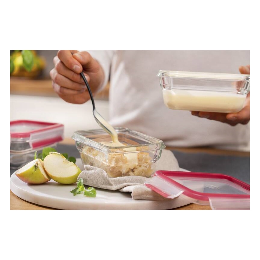 Tefal - Envase para alimentos 0,45 l MSEAL GLASS rojo/vidrio
