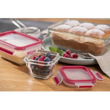 Tefal - Envase para alimentos 0,45 l MSEAL GLASS rojo/vidrio