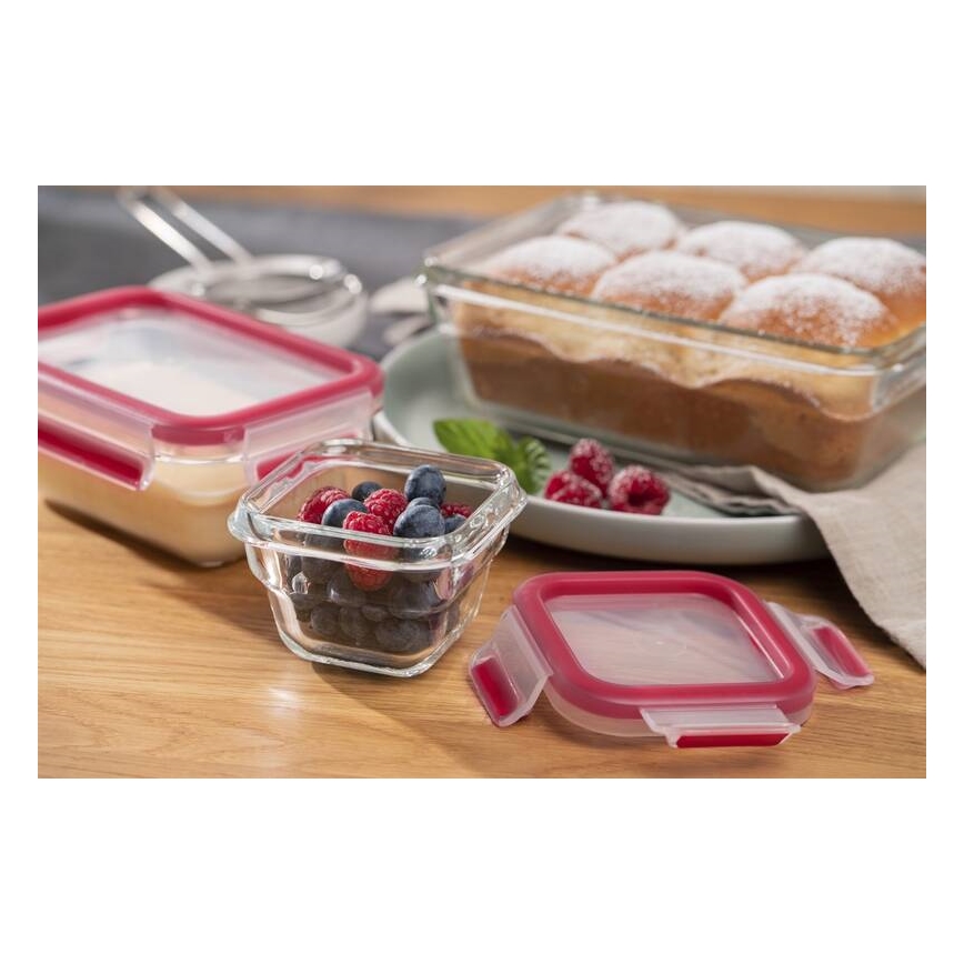 Tefal - Envase para alimentos 0,45 l MSEAL GLASS rojo/vidrio