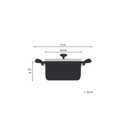 Tefal - Olla con tapa EXTREME 24 cm