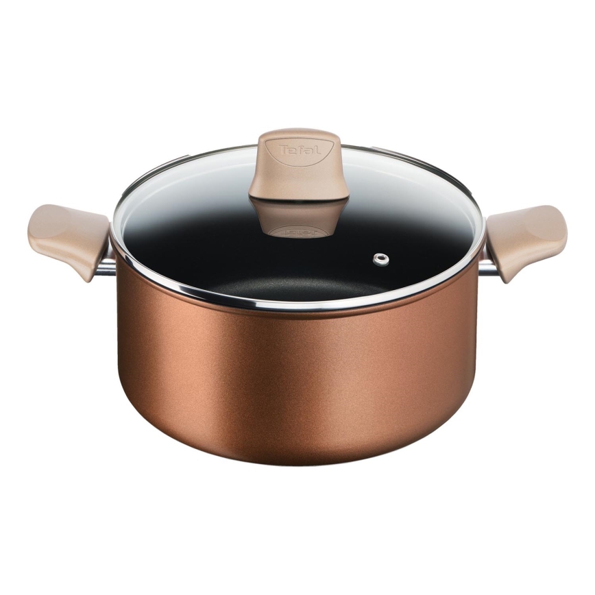 Tefal - Olla con tapa RESPECT Ø 24 cm