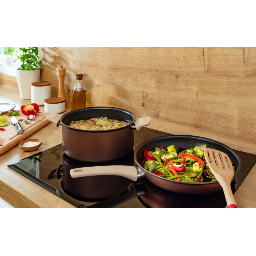 Tefal - Olla con tapa RESPECT Ø 24 cm