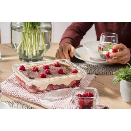 Tefal - Recipiente para alimentos 3 l MSEAL GLASS rojo/vidrio