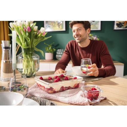 Tefal - Recipiente para alimentos 3 l MSEAL GLASS rojo/vidrio