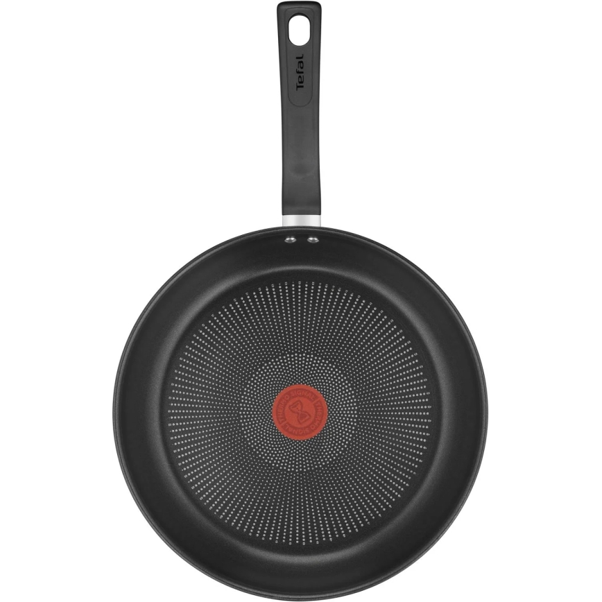 Tefal - Sartén DELICIOUS 28 cm
