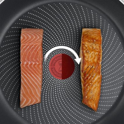 Tefal - Sartén DELICIOUS de 20 cm