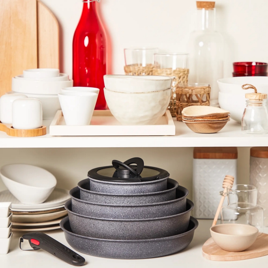 Tefal - Sartén INGENIO NATURAL FORCE de 24 cm