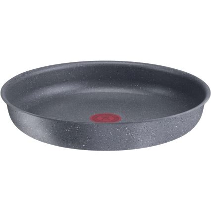 Tefal - Sartén INGENIO NATURAL FORCE de 24 cm
