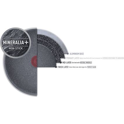 Tefal - Sartén NATURAL FORCE 24 cm