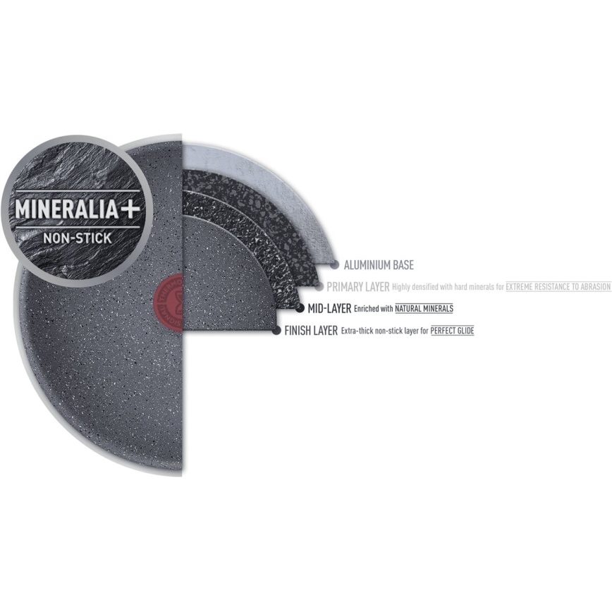 Tefal - Sartén NATURAL FORCE 24 cm