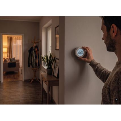 Termostato manual para habitación 230 V/6 A, 2x AA, blanco