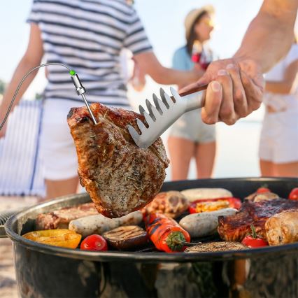 TESLA Electronics Cook - Termómetro digital para carne con sonda 0-400 °C, 2xAA, IP65