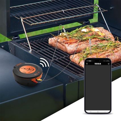TESLA Electronics Cook - Termómetro digital para carne con sonda 0-400 °C, 2xAA, IP65