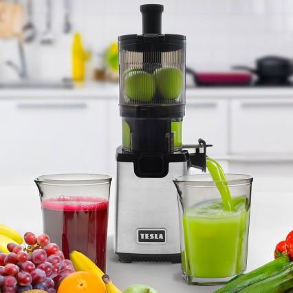TESLA Electronics SlowJuicer Deluxe - Extractor de jugos lento 250W/230V acero inoxidable