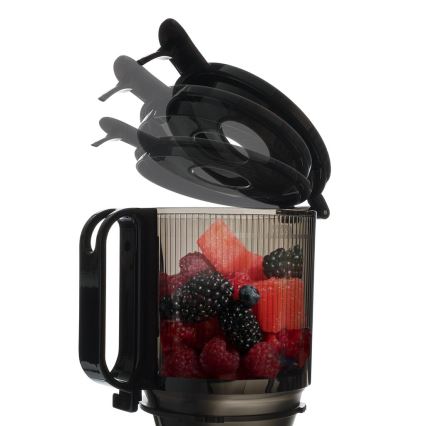 TESLA Electronics SlowJuicer Deluxe - Extractor de jugos lento 250W/230V acero inoxidable