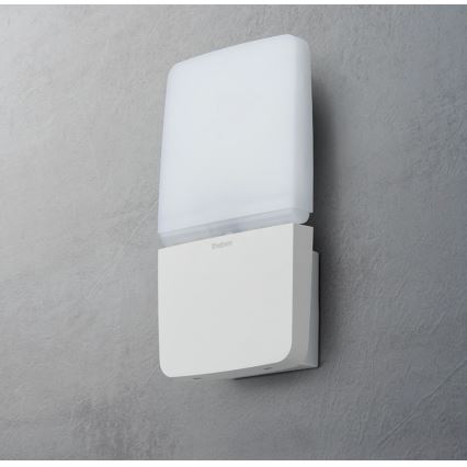 theben - Proyector de pared LED/11W/230V blanco IP55