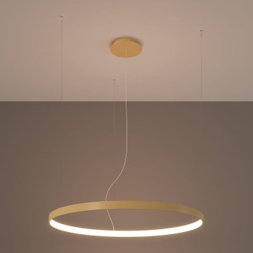 Thoro TH.174 - Lámpara LED colgante RIO LED/50W/230V CRI 90 3000K diá. 78 cm dorado