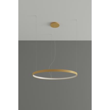 Thoro TH.174 - Lámpara LED colgante RIO LED/50W/230V CRI 90 3000K diá. 78 cm dorado