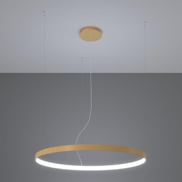 Thoro TH.181 - LED&nbsp; Lámpara colgante RIO LED&nbsp;/50W/230V CRI 95 4000K diá. 78 cm dorado