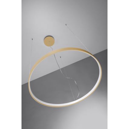 Thoro TH.217 - Lámpara LED colgante RIO LED/30W/230V CRI 95 4000K diá. 55 cm dorado