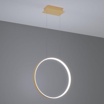 Thoro TH.221 - Lámpara LED colgante RIO LED/30W/230V CRI 95 4000K diá. 55 cm dorado