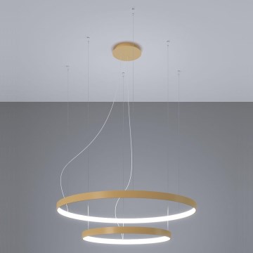 Thoro TH.268 - Lámpara LED colgante RIO LED/80W/230V CRI 95 4000K dorado