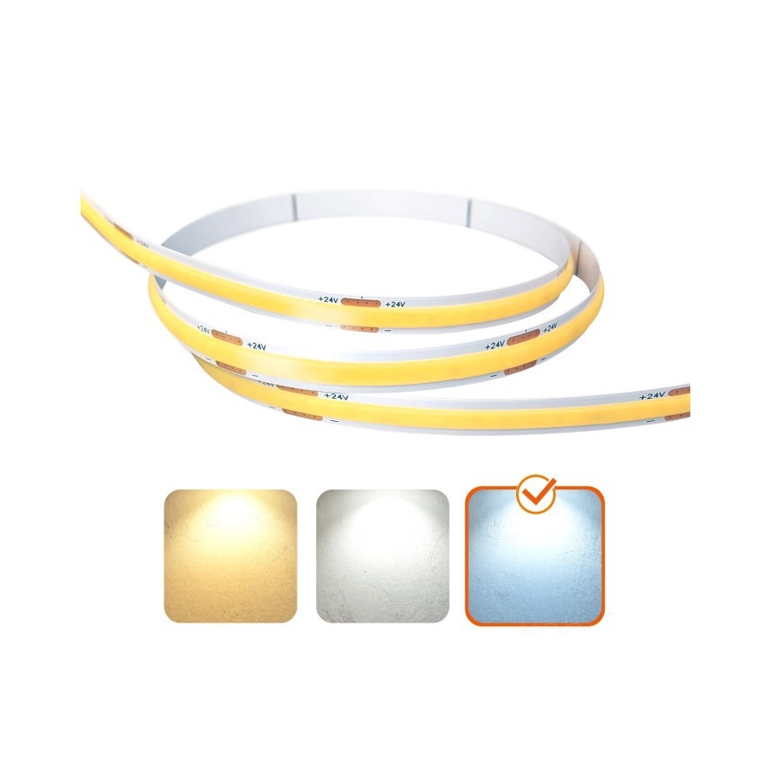 Tira LED exterior TRAMO LED/50W/24V 5m IP65 6500K